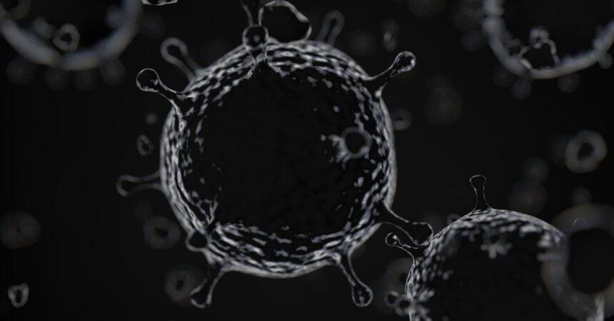 Decretan alerta epidemiológica en establecimientos de salud de Los Lagos por "tifus de los matorrales"