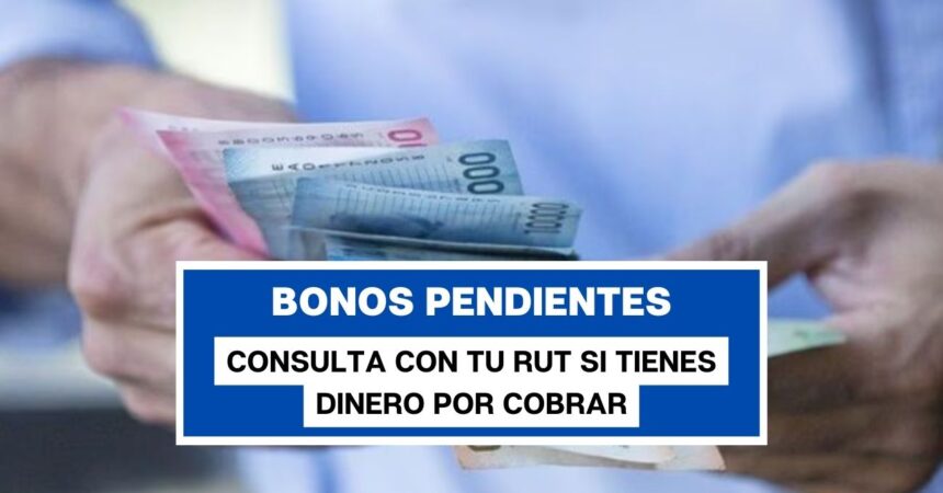 Bonos pendientes: consulta con tu RUT si tienes dinero por cobrar