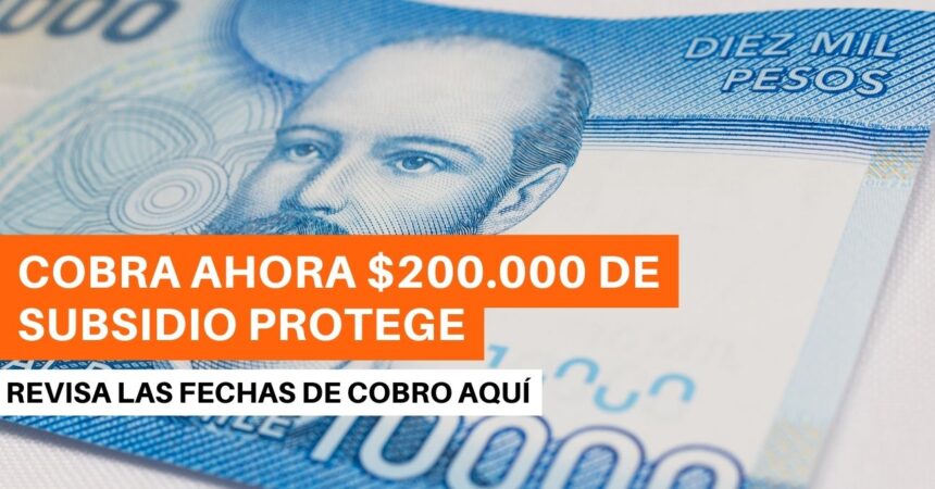Obtén $200.000 por Subsidio Protege: ¿Cuántos pagos quedan del beneficio?