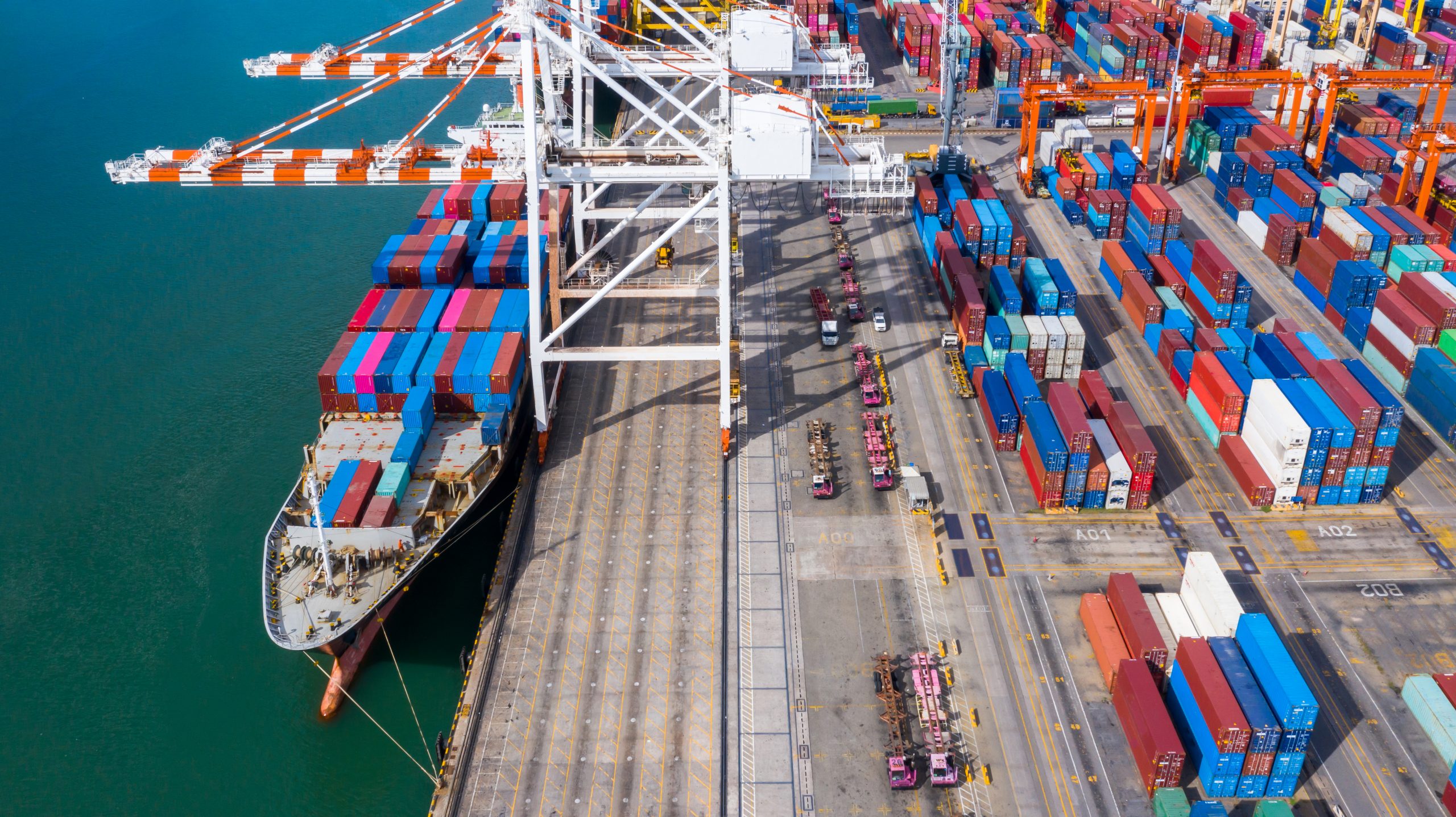 Problema informático en Aduanas preocupa al sector Agrícola: Temporada de exportación en riesgo
