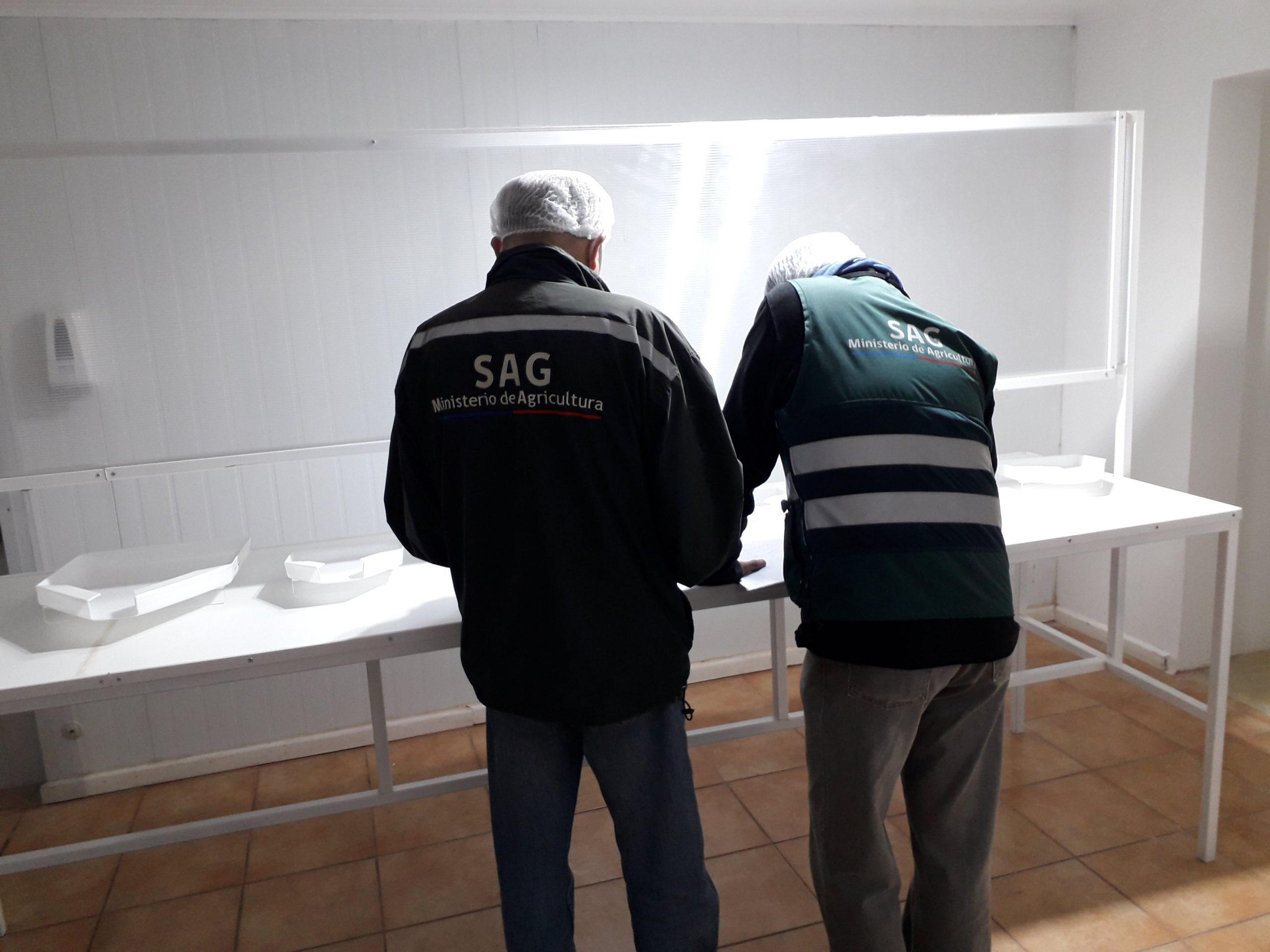 Oportunidades laborales en el Servicio Agrícola y Ganadero (SAG) en la Región Metropolitana
