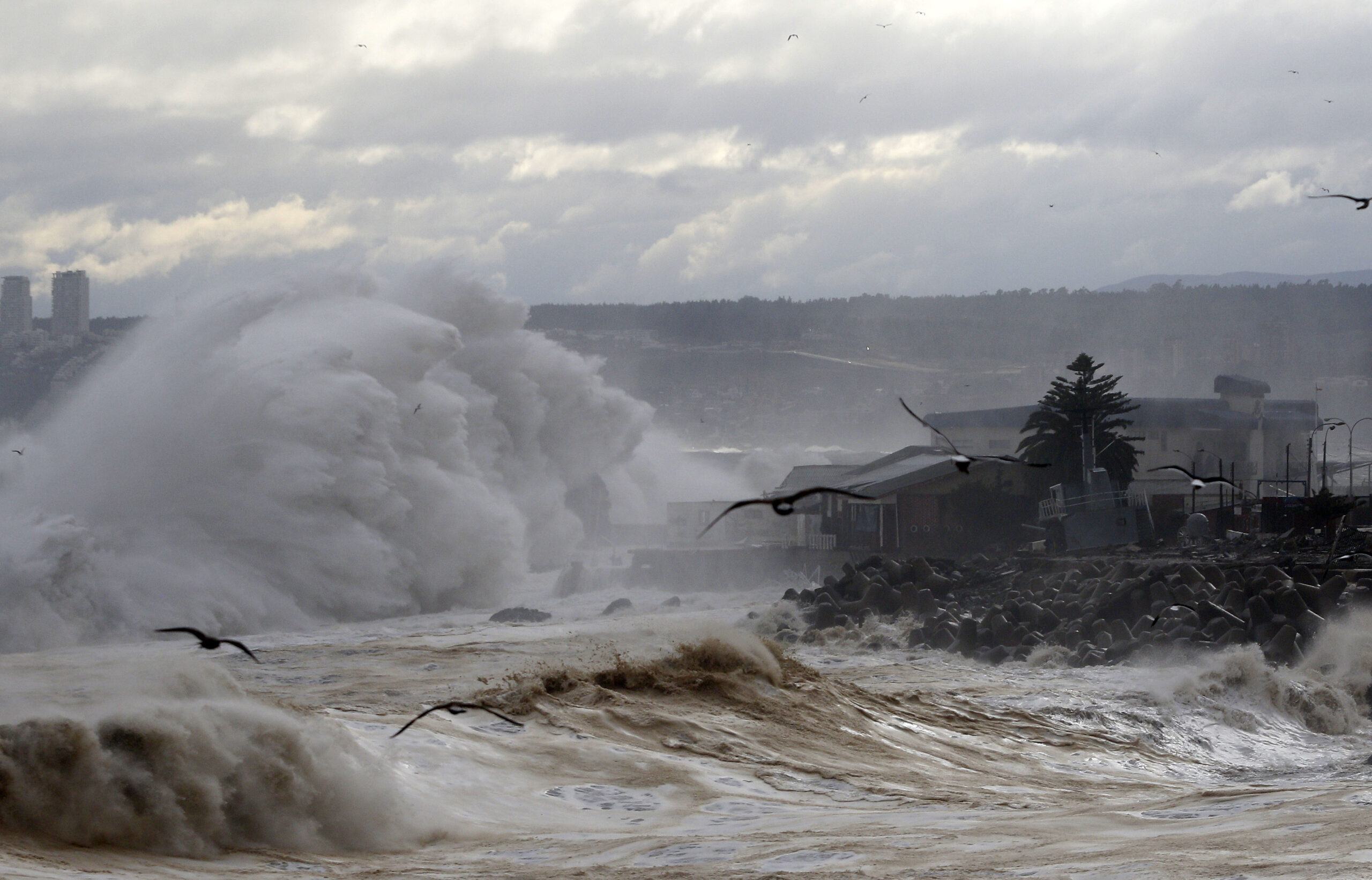 Alerta de marejadas: Ocho regiones afectadas entre el domingo 28 y martes 30 de enero