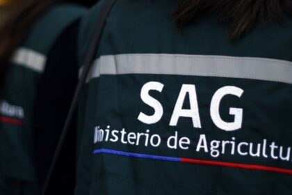 Polémica en el SAG: cuestionan contratación de periodista con sueldo de $6.400.000