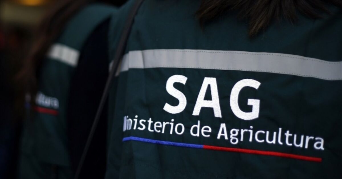 Polémica en el SAG: cuestionan contratación de periodista con sueldo de $6.400.000