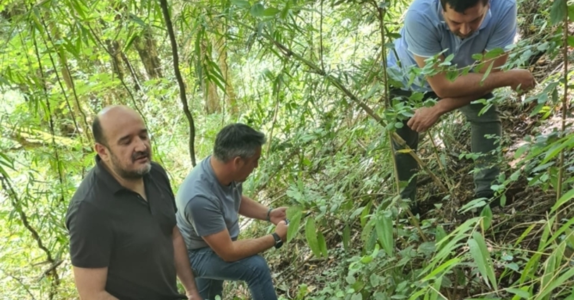 Investigan Hallazgo de Cráneo en el Río Toltén: Podría Pertenecer a Carlos Navarrete