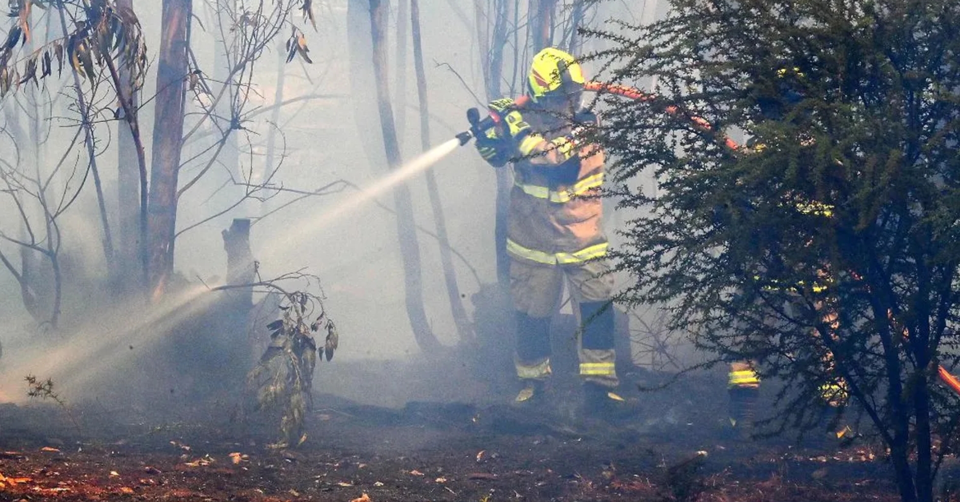 Detenido el presunto autor del incendio forestal que afectó Melipilla y Padre Hurtado