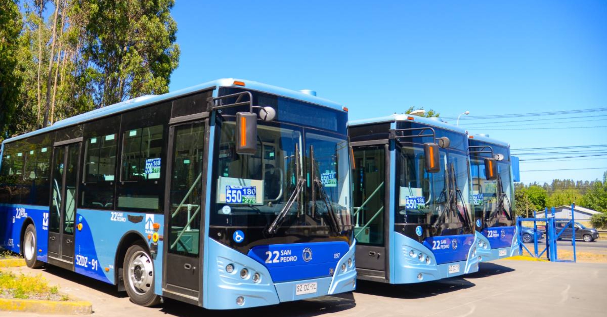 Nuevos Buses de Acceso Universal se Integran a la Línea 22 de San Pedro