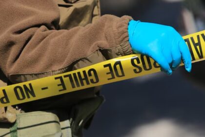 Hombre confiesa asesinato de su suegra y ataque a su pareja en Villarrica, Araucanía