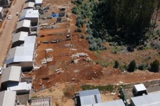 Dueños de viviendas sociales en Dichato ocupan cortafuego de Forestal Arauco para ampliar patios