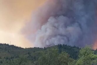 Incendio en San Javier continúa sin control: 1.600 hectáreas consumidas y alerta roja