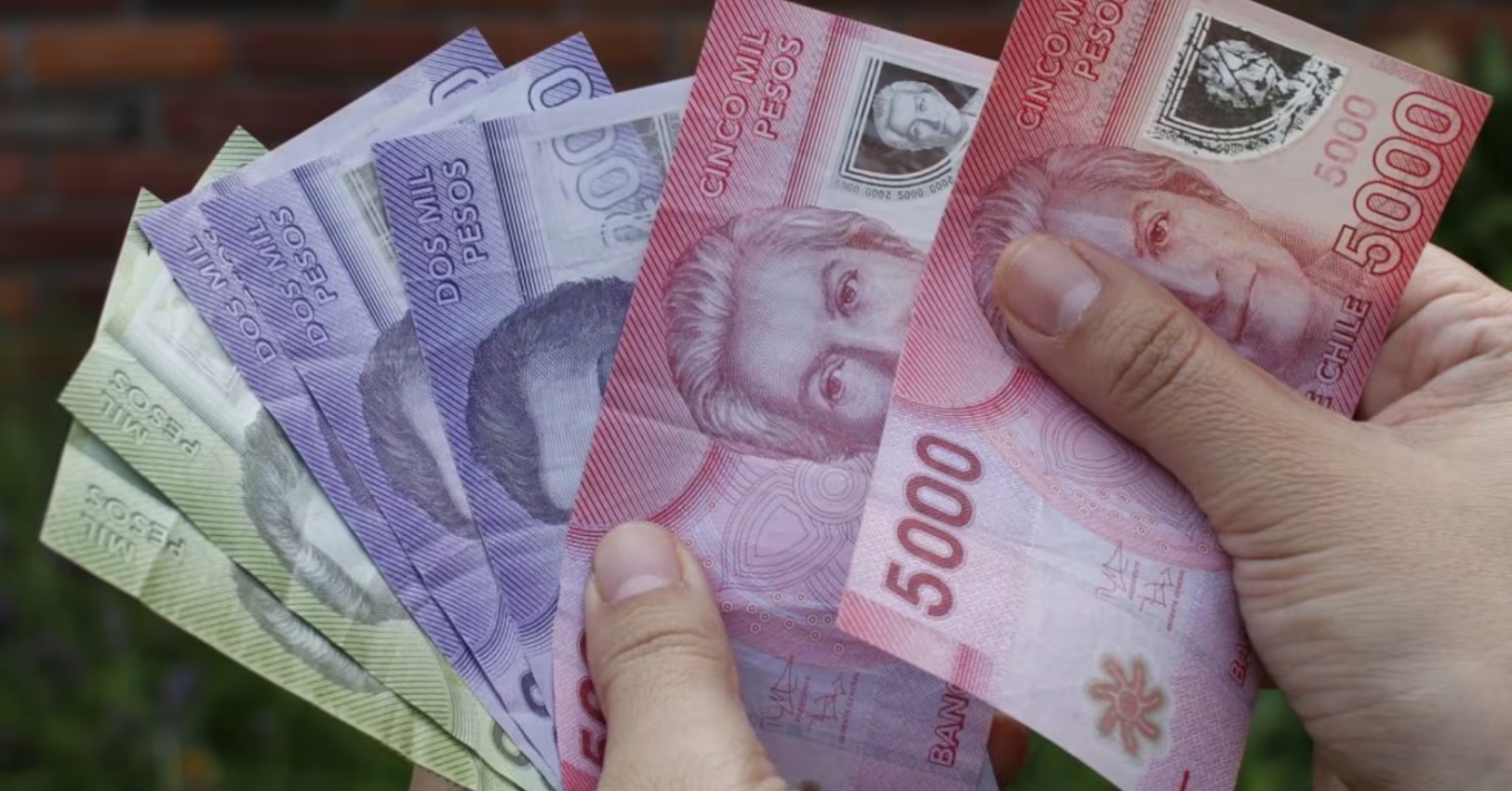¿Qué es el Aporte Familiar Permanente y cómo acceder a este beneficio?