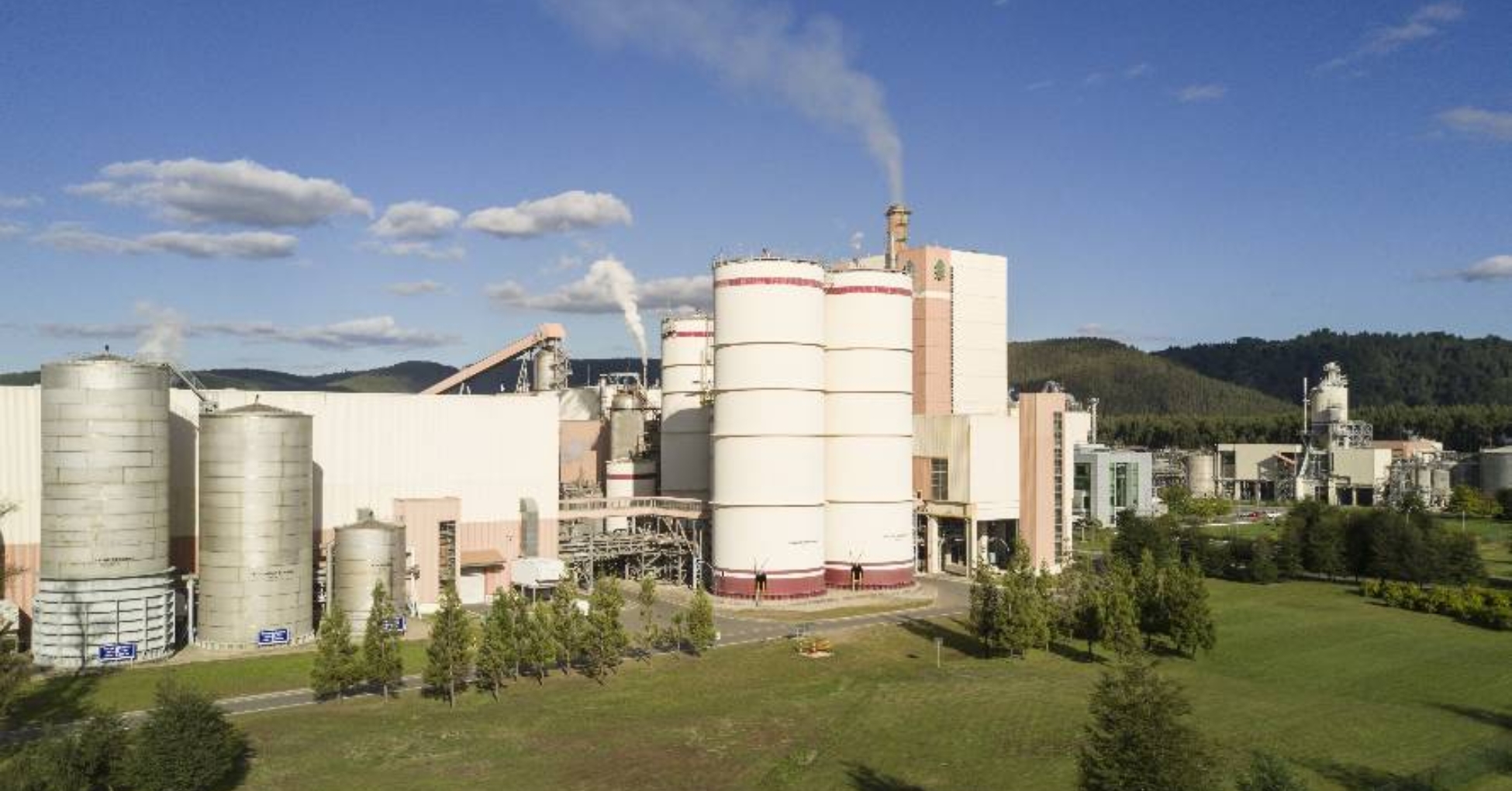 Huelga en Celulosa Arauco: 35 días sin acuerdos y marchas toman Valdivia