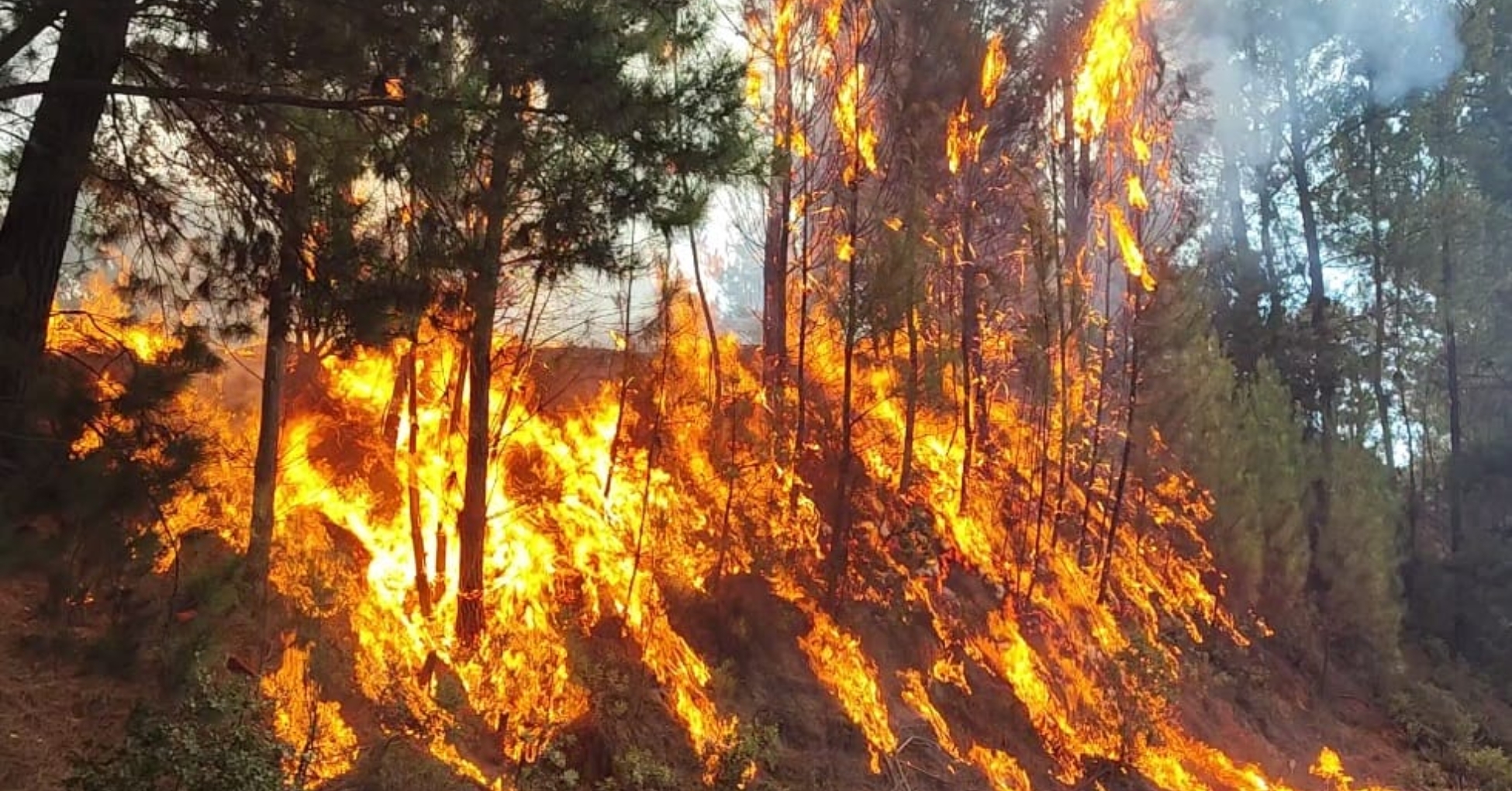 Santa Juana crea la primera Red Comunitaria de Prevención de Incendios Forestales