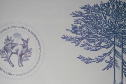 Propuestas clave de la Comisión Presidencial para La Paz y el Entendimiento en La Araucanía