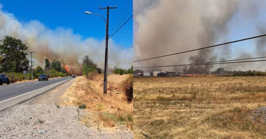 Declarada alerta roja en Chillán por incendio forestal en Autopista de Itata