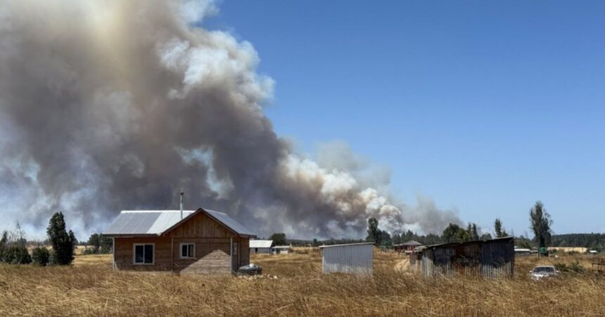 Incendios intencionales devastan bosques en La Araucanía: 16 mil hectáreas afectadas