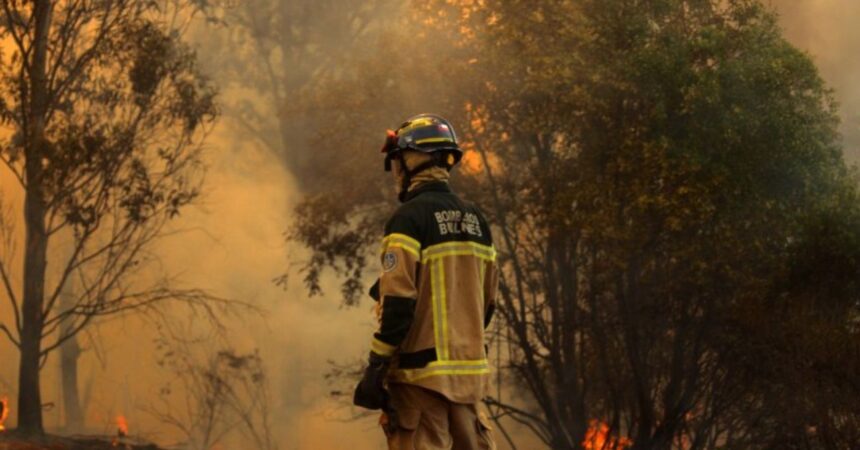 Refuerzo urgente en combate de incendios: 51 naves operan en La Araucanía