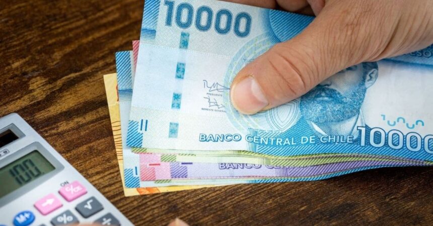 ¿Tienes dinero sin cobrar? Revisa con tu RUT si tienes bonos pendientes de pago