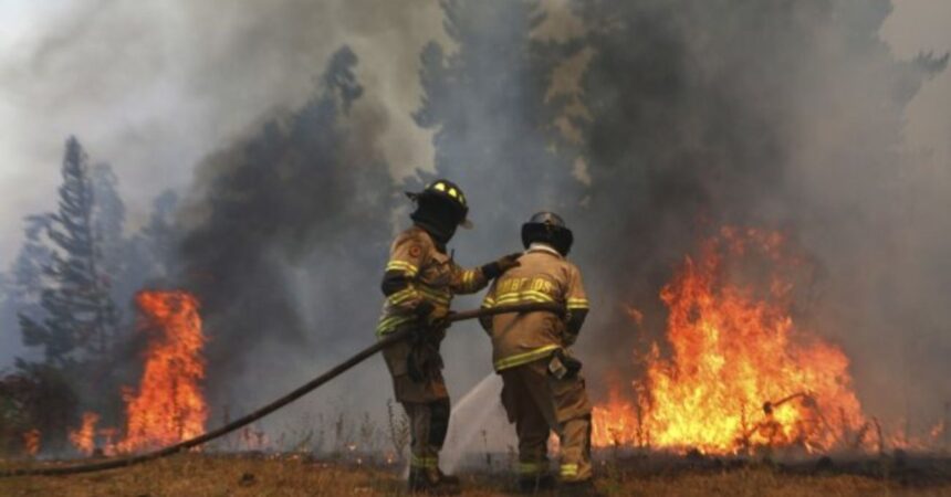 Senapred entrega balance de incendios forestales y medidas ante la ola de calor extremo