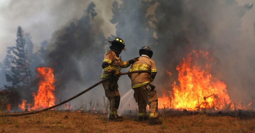 Tres detenidos por presunta responsabilidad en incendio forestal en Coihueco