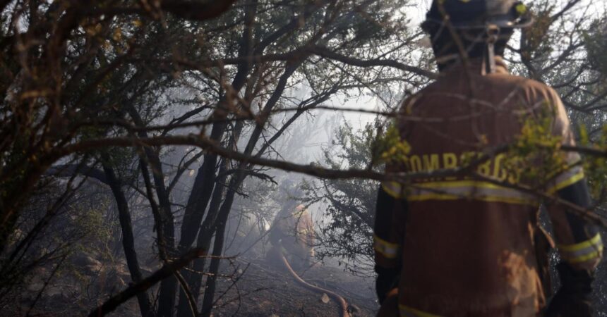 Incendio en Curepto: Mujer de 82 años muere tras quedar atrapada en su vivienda