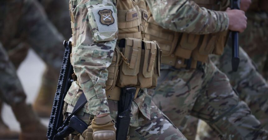 Incendio en Mulchén: Ejército refuerza seguridad para brigadistas en combate contra el fuego