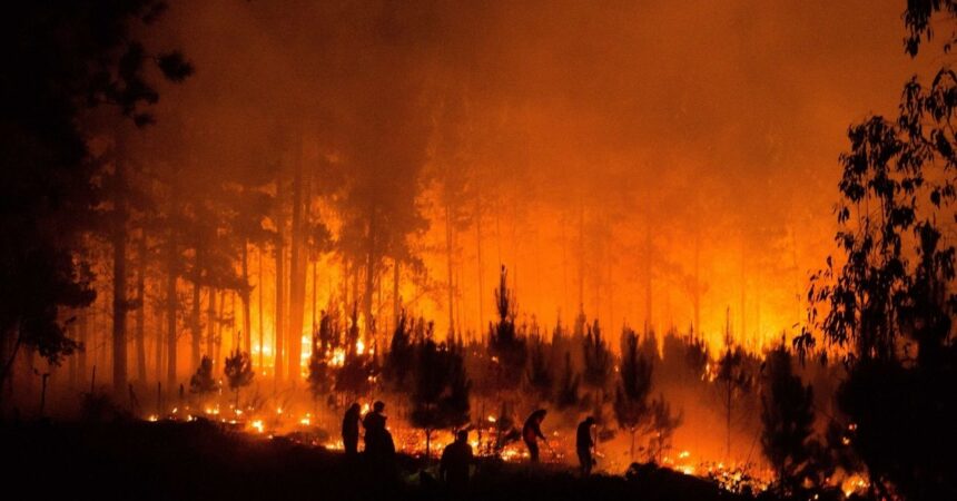 Incendios forestales en el sur de Chile: Conaf reporta más de 9.000 hectáreas afectadas y 77 focos activos