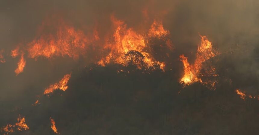Incendios en La Araucanía: 13 focos en combate y más de 5.200 hectáreas afectadas