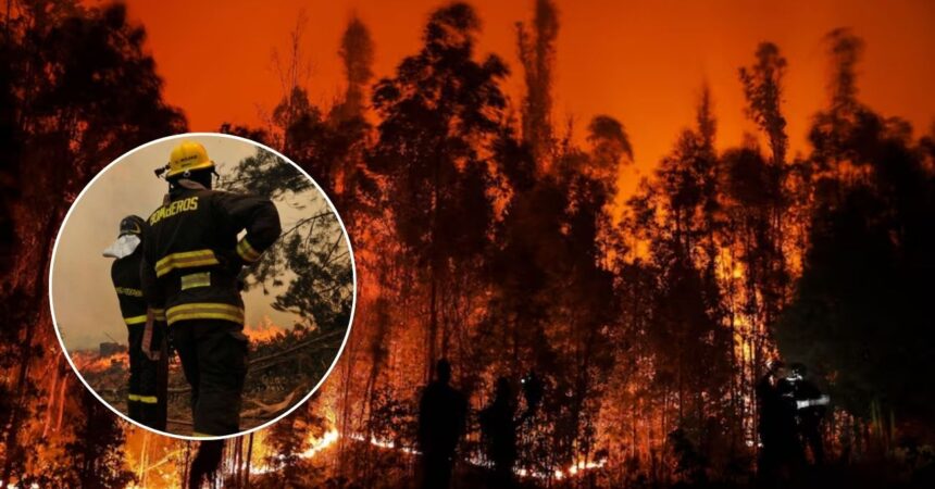 Incendios forestales en el sur de Chile: 16 focos en combate y más de 14.700 hectáreas afectadas
