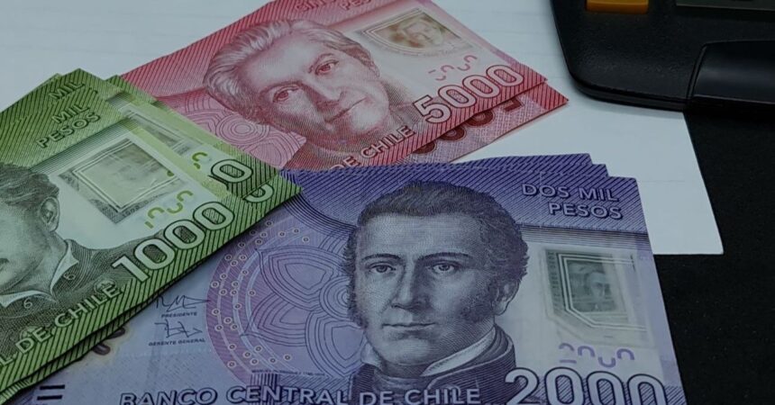 Consulta con tu RUT si recibes el bono de $21.000 que entrega el IPS al 40% más vulnerable