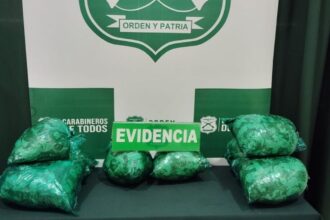 Puerto Montt: Carabineros decomisa más de 3 kilos de hojas de coca en bus proveniente de Santiago