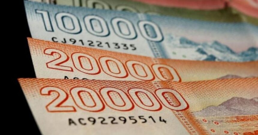 Consulta con tu RUT si eres beneficiaria del Bono Dueña de Casa 2025
