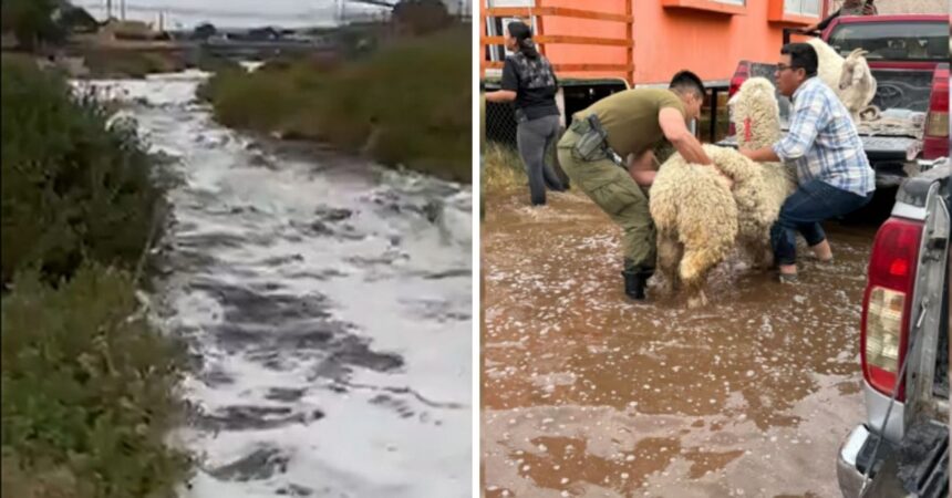 Fuertes lluvias en el norte del país: Río Loa en alerta roja y familias evacuadas