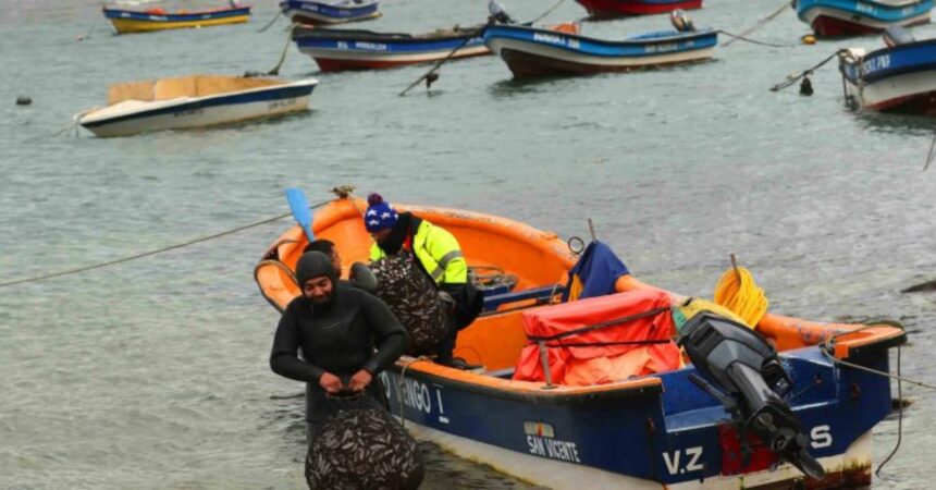 Conflicto en Caleta Parga: Pescadores acusan restricción de acceso al borde costero