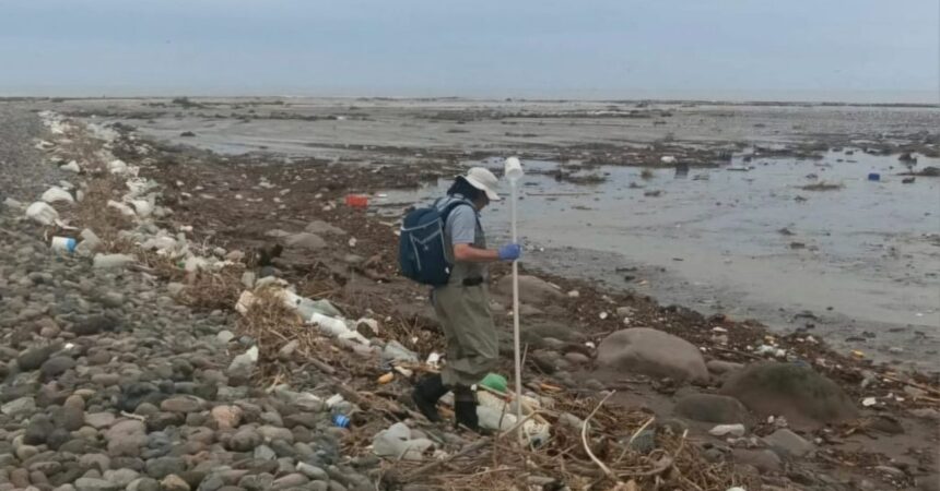 Cierran Playa Chinchorro en Arica por presencia de coliformes fecales