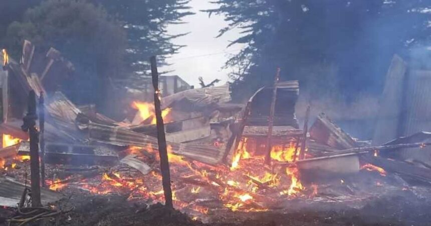 Incendio en ONG Chiloé Silvestre destruye sala de alimentos y causa la muerte de un lobo marino