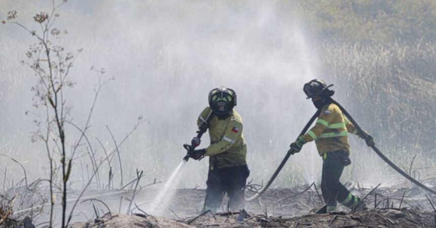 Detienen a dos bomberos acusados de provocar incendios forestales en Melipilla