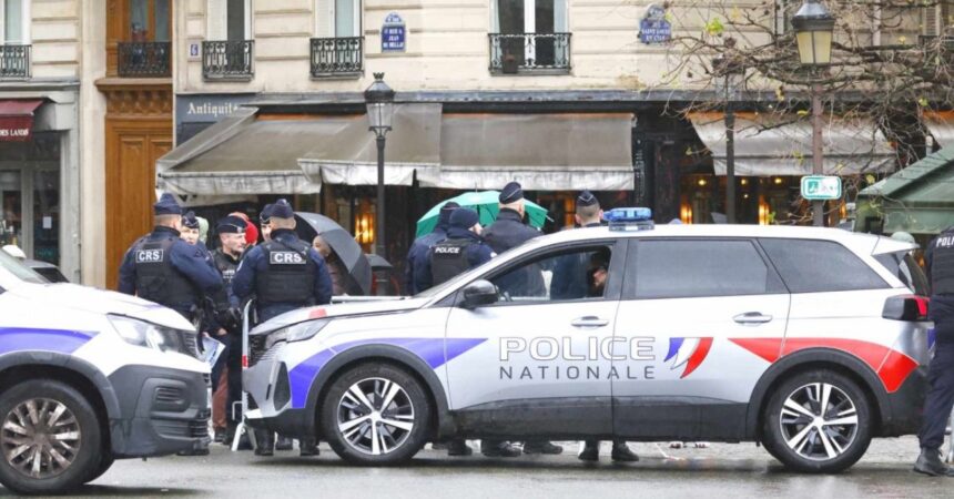 Joven madre detenida tras lanzar a su bebé recién nacido desde la ventana de un hotel en París