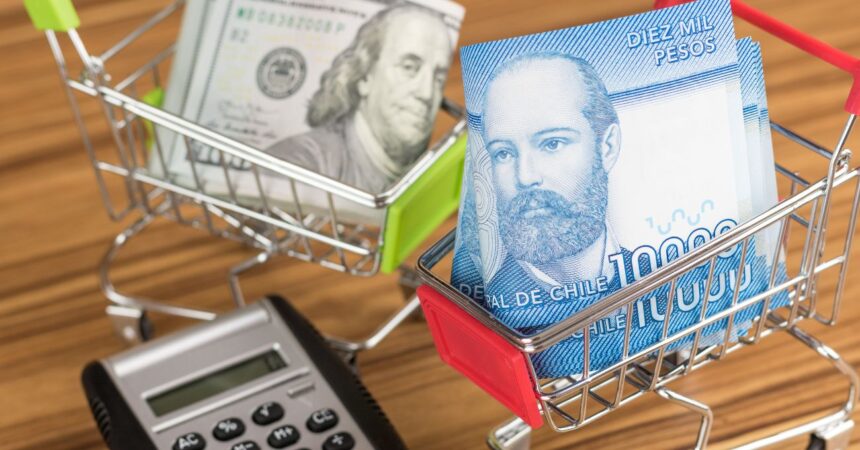 ¿Te depositaron los $58.000del IPS? Revisa con tu RUT
