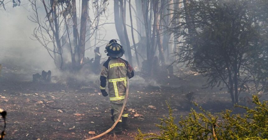 Alerta Roja en Los Ángeles por Incendio Forestal en María Dolores