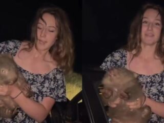 Escándalo en Australia: Influencer estadounidense captura cría de wombat