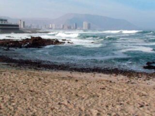 Hombre detenido tras lanzarse al mar para evitar fiscalización en Iquique