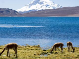 Disfruta la naturaleza: acceso gratis a parques nacionales por el día del deporte