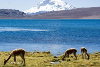 Disfruta la naturaleza: acceso gratis a parques nacionales por el día del deporte