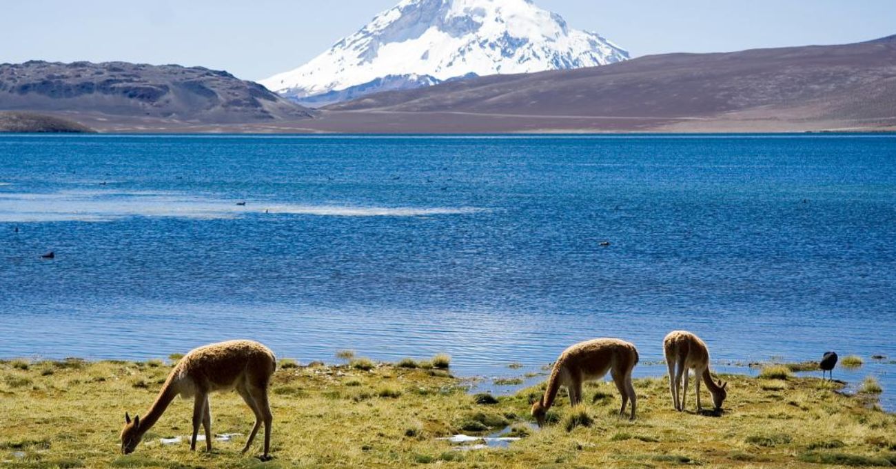 Disfruta la naturaleza: acceso gratis a parques nacionales por el día del deporte