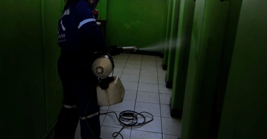 Indignación en Apoderados por Falta de Higiene en Liceo de Puerto Montt tras Hallazgo de Ratón en un Baño