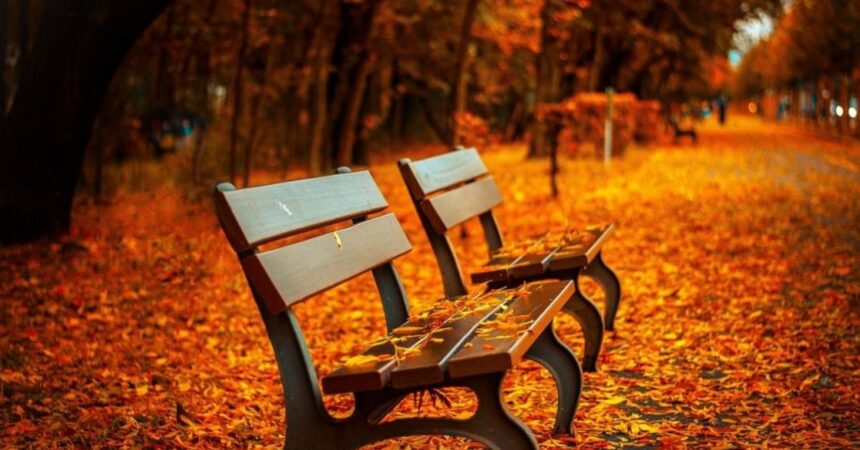 ¿Cuándo comienza oficialmente el otoño en Chile?