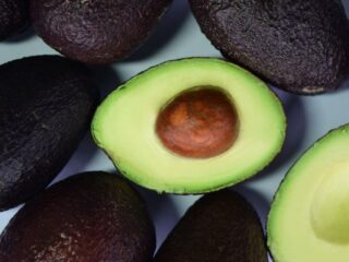 Chile es el Segundo Mayor Consumidor de Palta en el Mundo: Más de 8 Kilos por Persona al Año