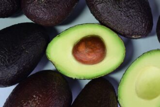 Chile es el Segundo Mayor Consumidor de Palta en el Mundo: Más de 8 Kilos por Persona al Año