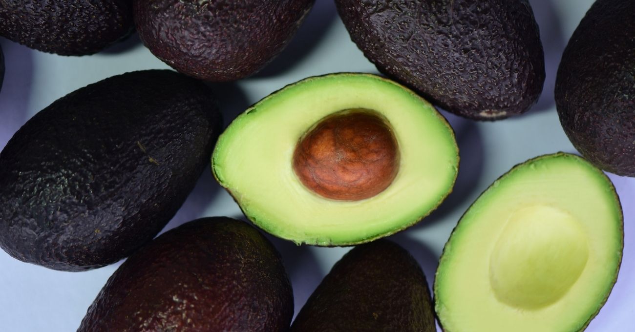 Chile es el Segundo Mayor Consumidor de Palta en el Mundo: Más de 8 Kilos por Persona al Año